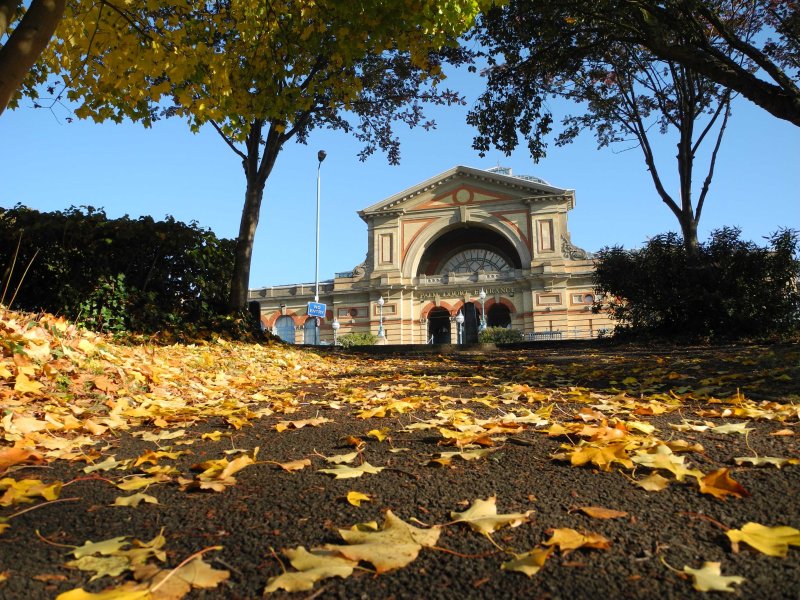 Autumn view of Alexandra Palace