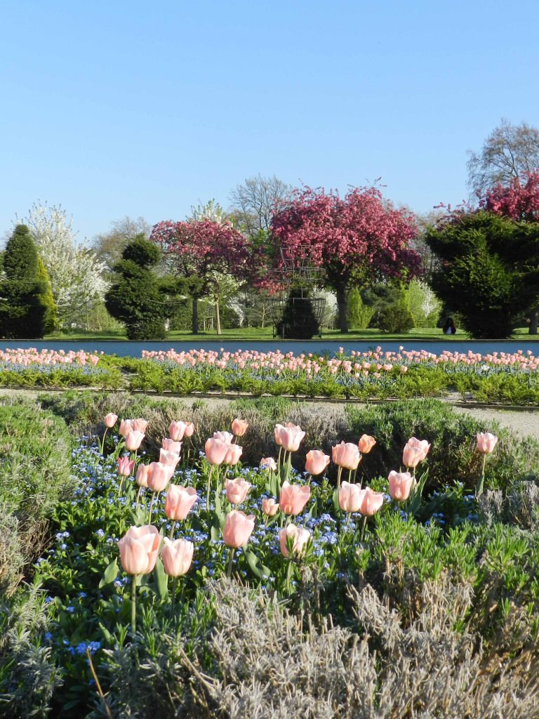 Blooms in Battersea park