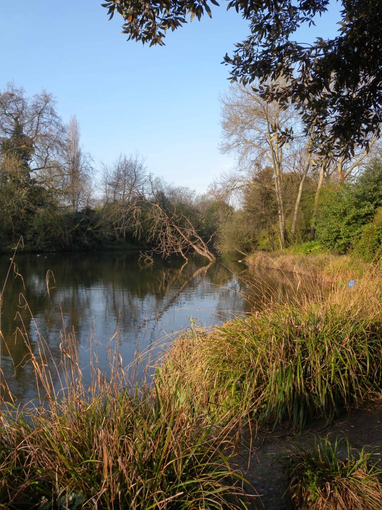 Duck Pond - Battersea Park