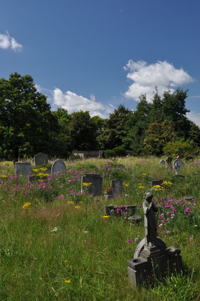 Brompton Cemetery View 2