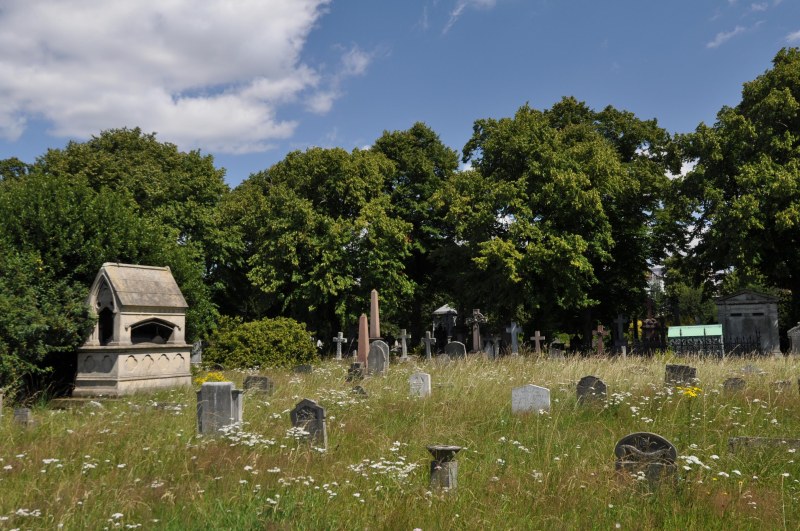Brompton Cemetery View 3