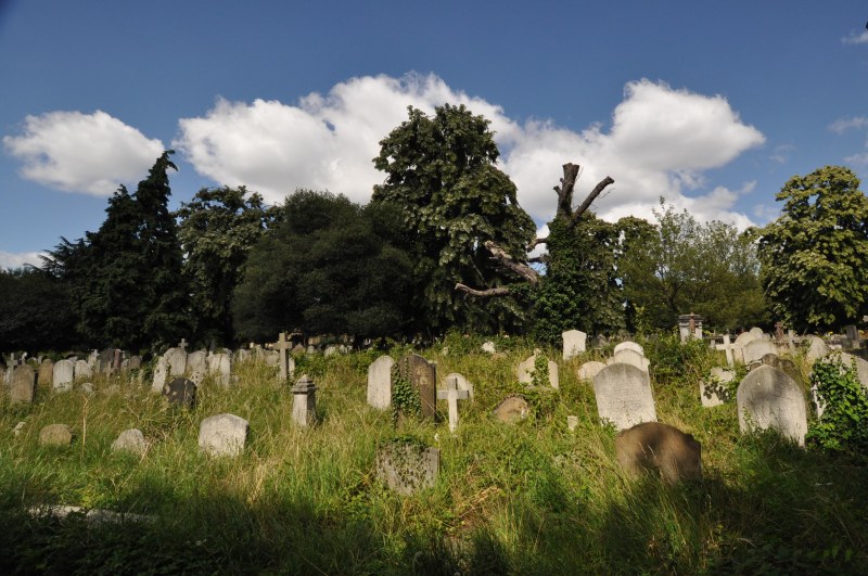 Brompton Cemetery View 7