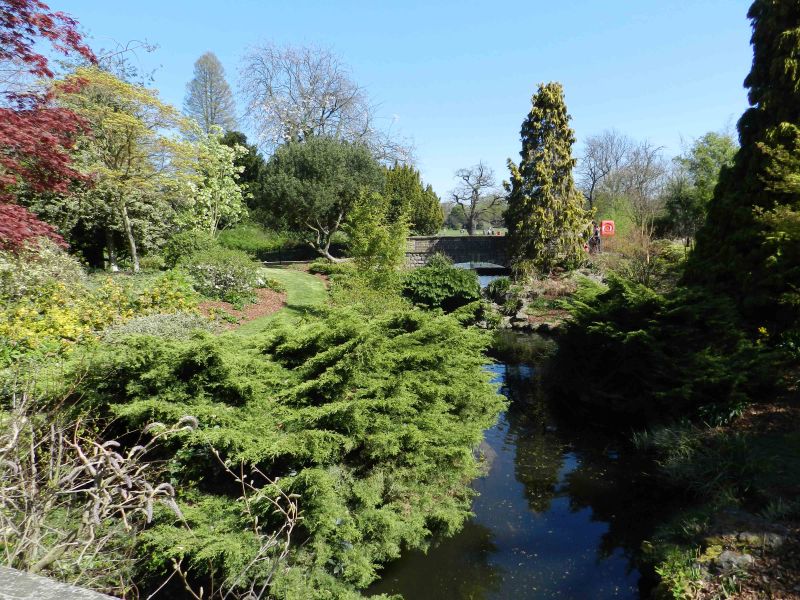 Dulwich park Lake - alternate view