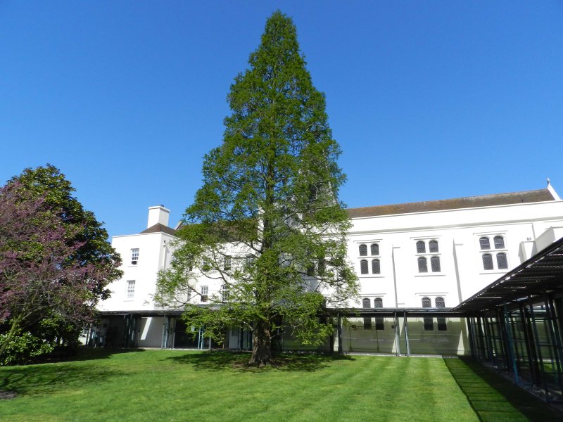 Dulwich Picture Gallery