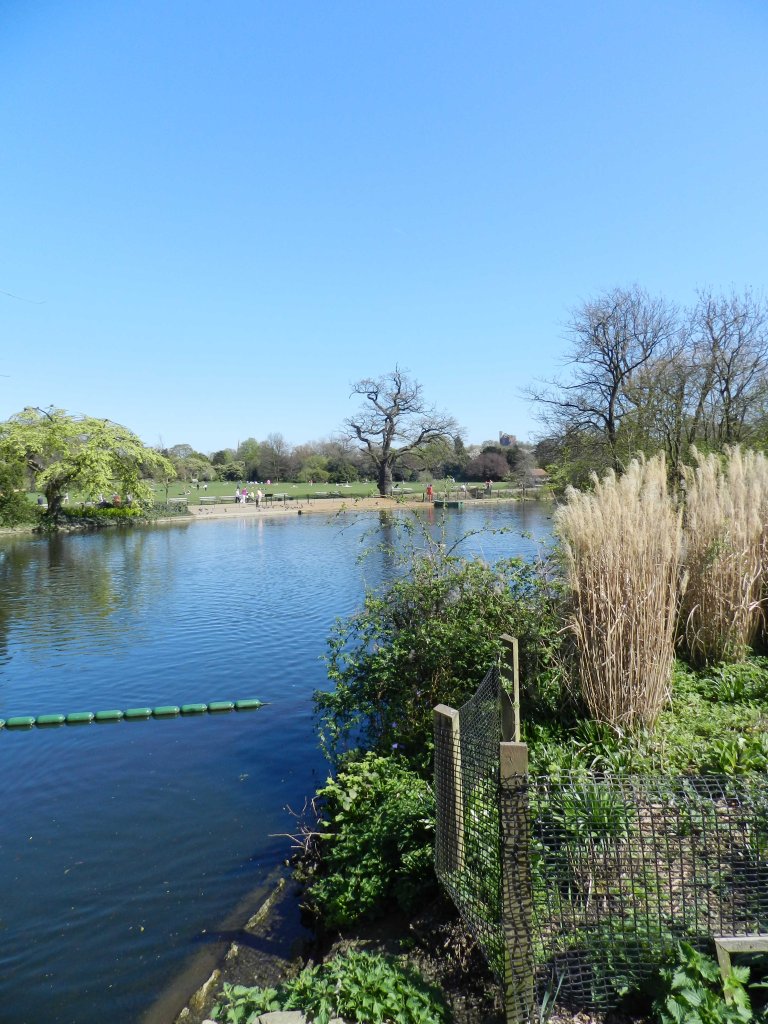 Dulwich park Lake