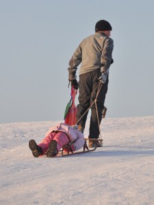 Sledge Travel - Hampstead Heath