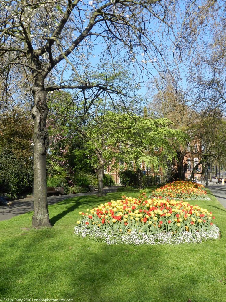 Chelsea Embankment Gardens