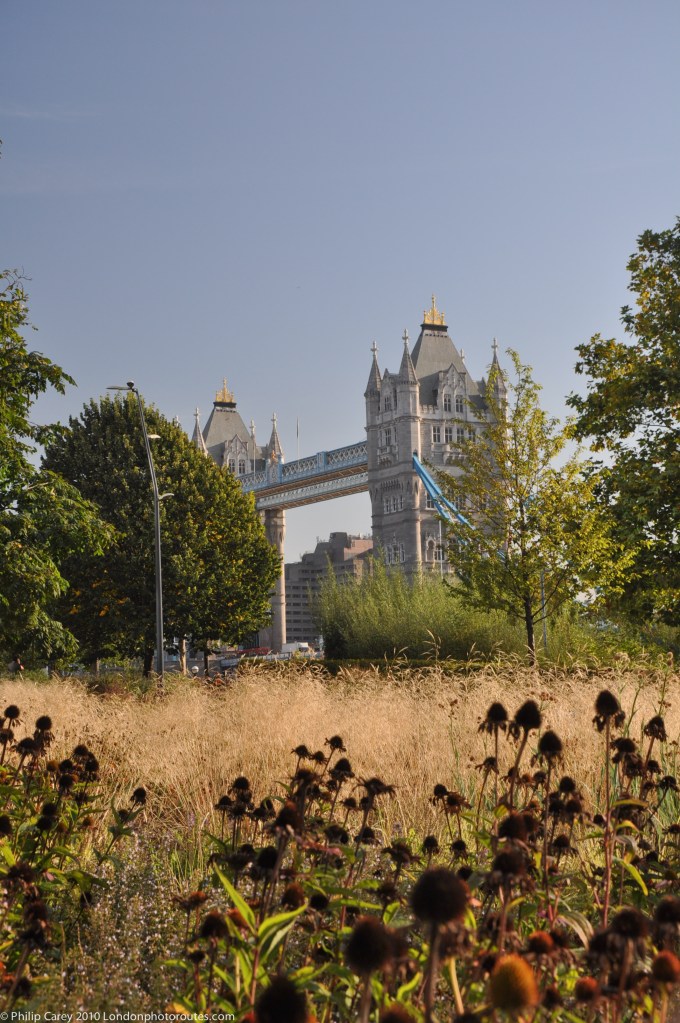 Tower Bridge from behind City Hall - Potters Fields