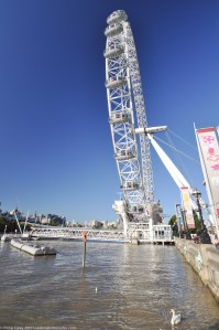 London Eye from Queens Walk