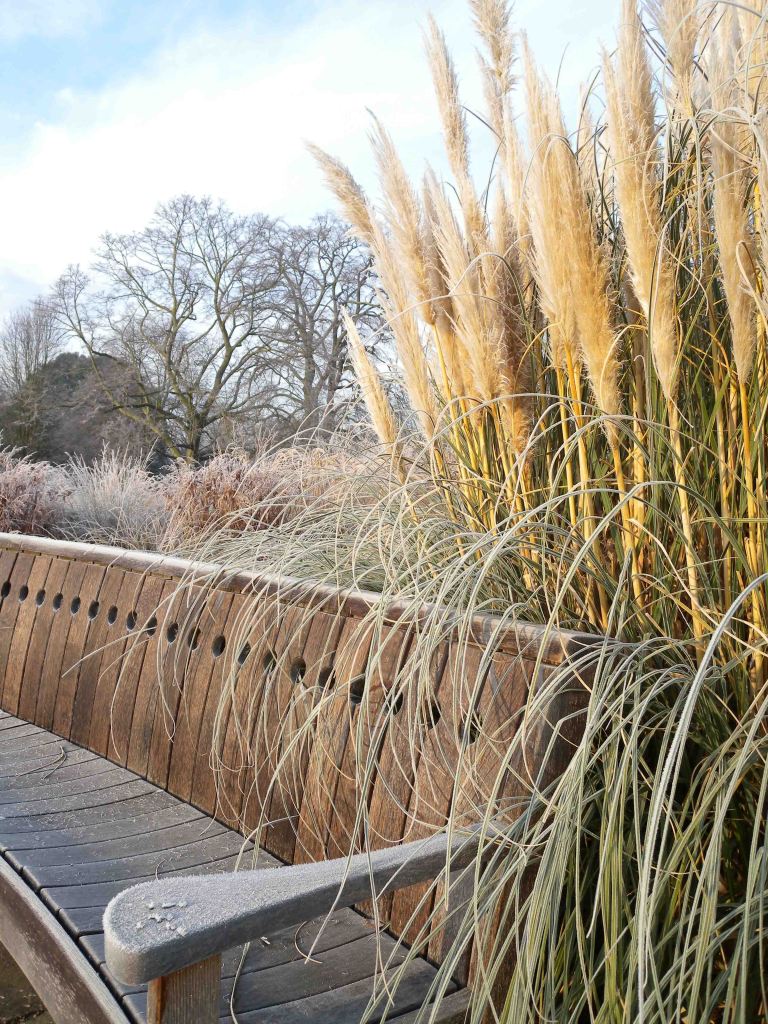 London_grasses-2-2 Kew