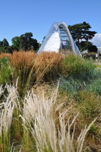 London_grasses-9 Alpine garden