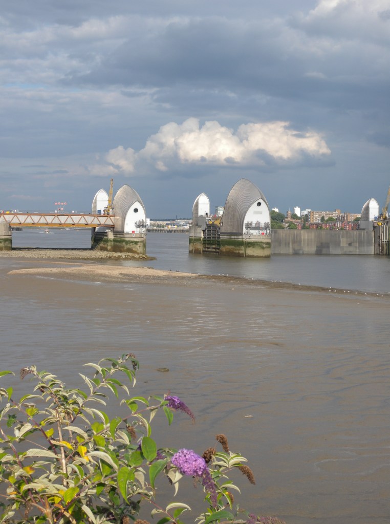Thames barrier looking from edge of park