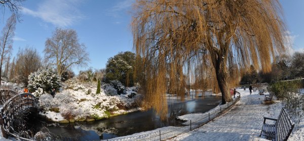 Winter - Regents Park