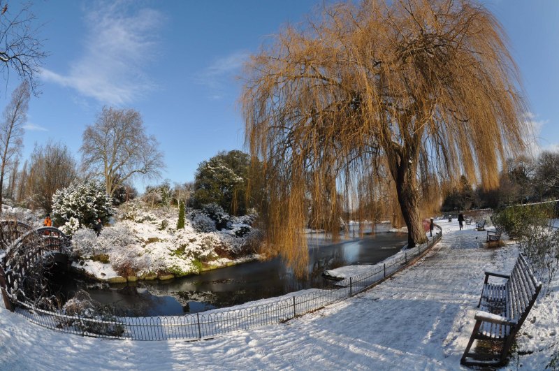 Winter - Regents Park