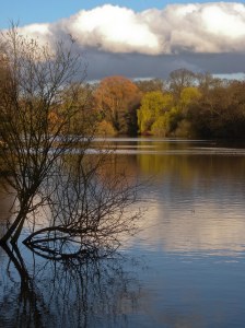 Autumn - Trent park