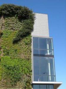 Vertical Garden on building in Orchard Way