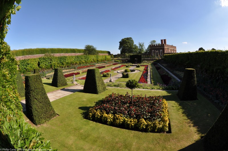 Pond Garden view through hedge