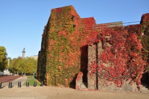 Old Admiralty Office with Virginia Creeper