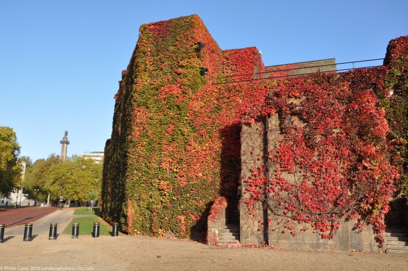 Old Admiralty Office with Virginia Creeper