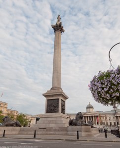 Nelson Column