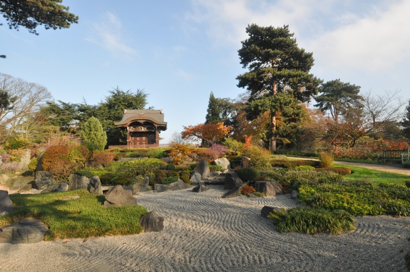 Japanese Garden - Kew