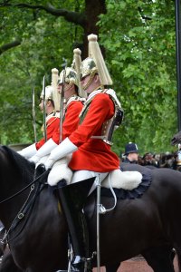 Household Calvary Standard Parade - detail 2
