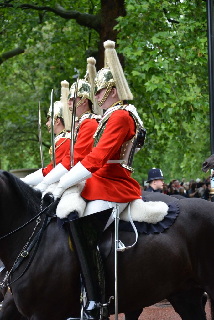 Household Calvary Standard Parade - detail 2