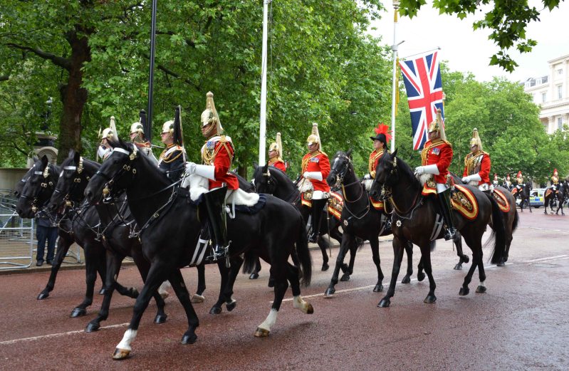 Household Calvary Standard Parade - with Veterinary officer