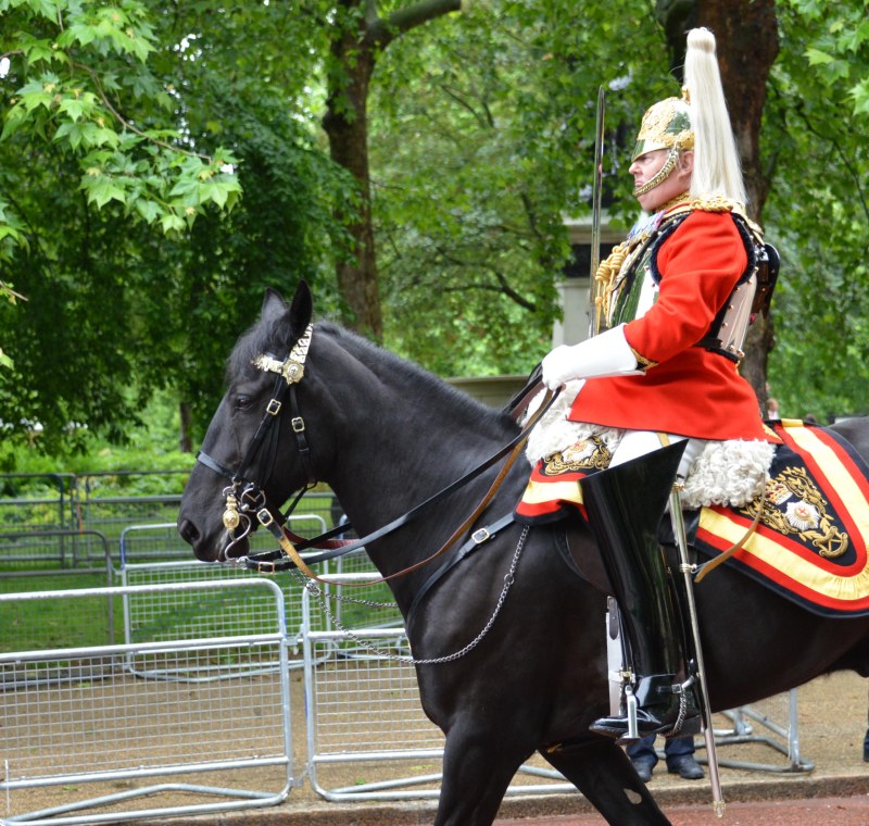 Household Calvary Standard Parade - Lieutenant-Colonel Life Guards