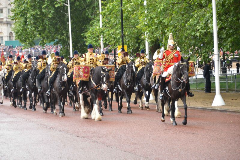 Household Calvary Standard Parade - band leaves