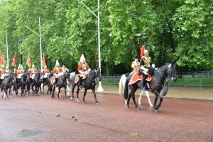 Household Calvary Standard Parade - Regimental Commanding Officer leave