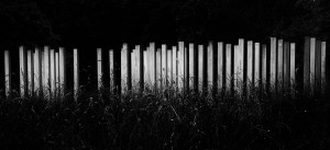 7/7 London Bombing Memorial -Hyde park