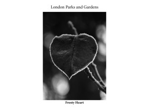 London Runs and Photo Routes