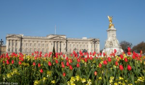 Buckingham Palace